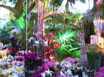  Hanging garden and lighting 